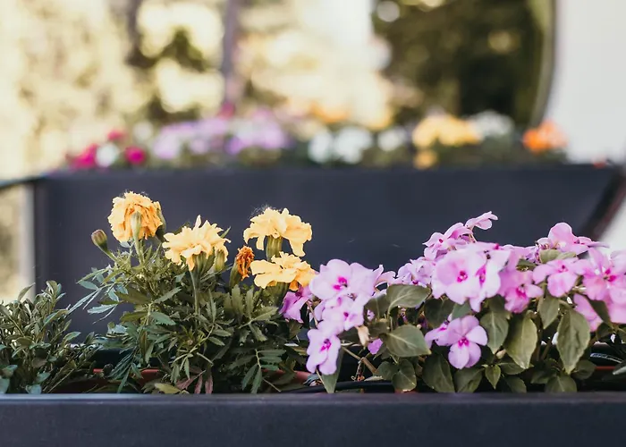 Appartement Bella Vista Con Piscina - Lakeside Leisure & Business *