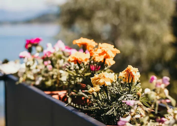 Bella Vista Con Piscina - Lakeside Leisure & Business Appartement *