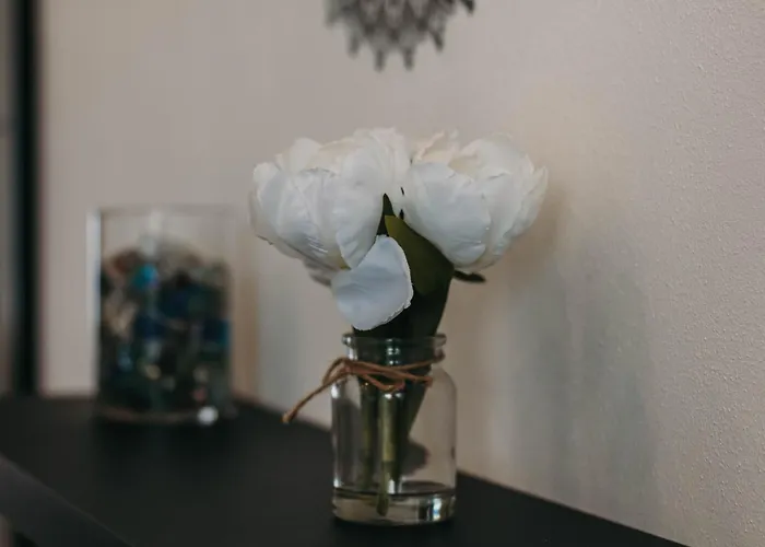 Appartement Bella Vista Con Piscina - Lakeside Leisure & Business