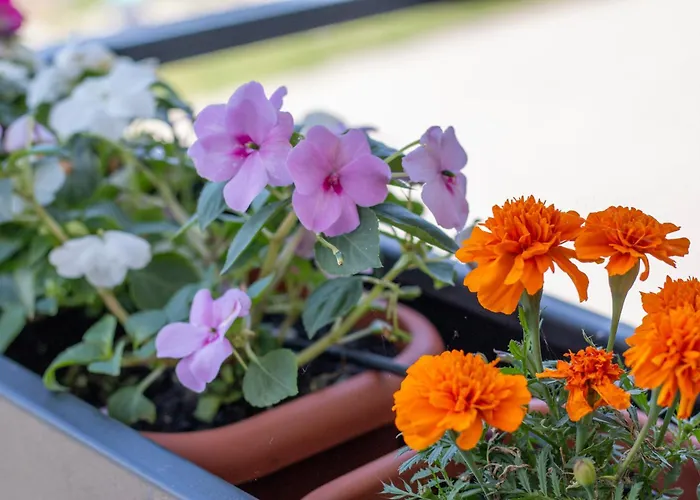 Bella Vista Con Piscina - Lakeside Leisure & Business Appartement *